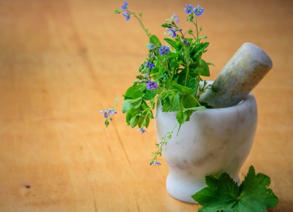 Purple Petaled Flowers in Mortar and Pestle